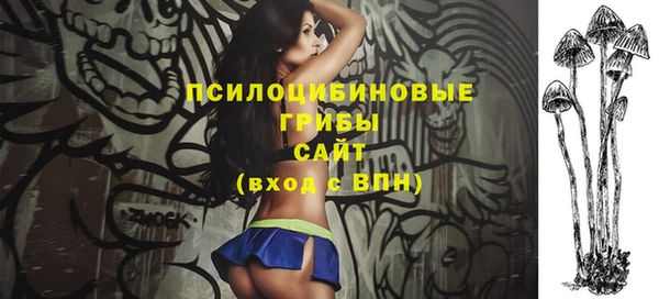mix Белокуриха