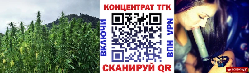 Дистиллят ТГК Wax  мега ССЫЛКА  Алзамай 
