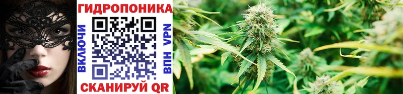 Бошки Шишки сатива  Алзамай 
